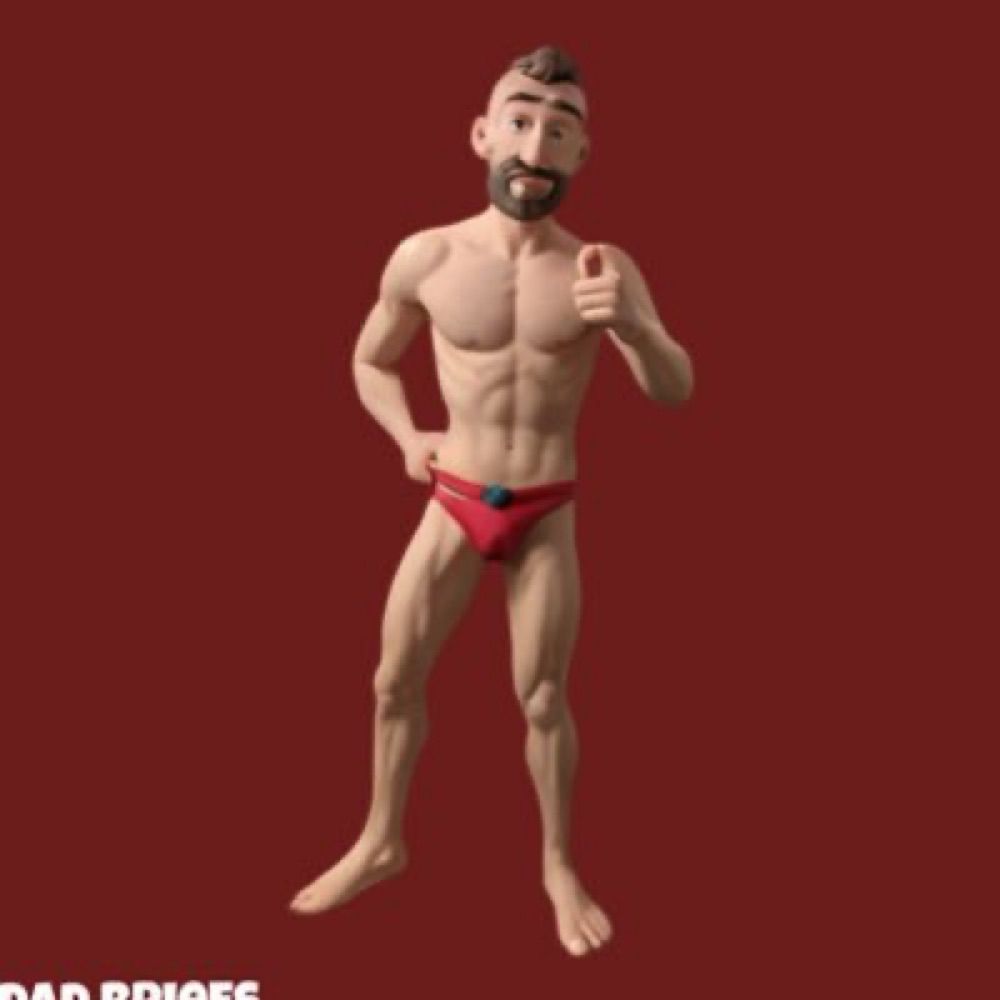 Dad Briefs
