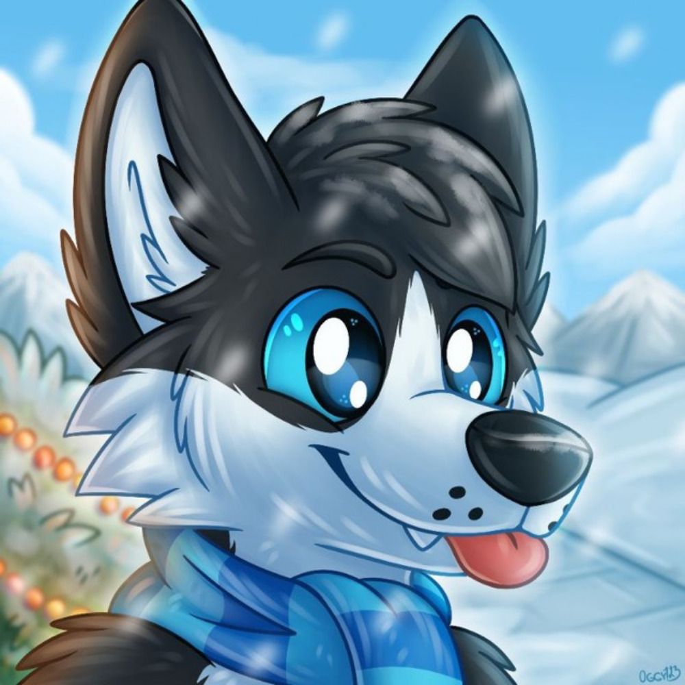 QuasarHusky