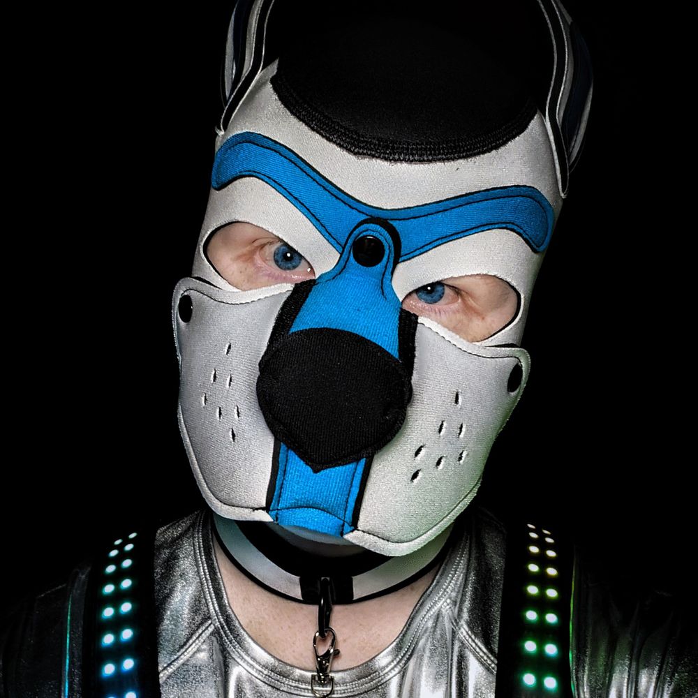 Pup Disco