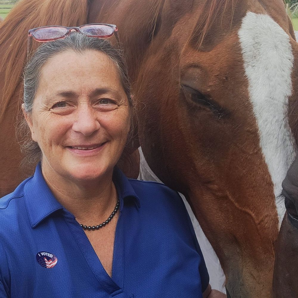 RemiLee & Co Equestrian Art