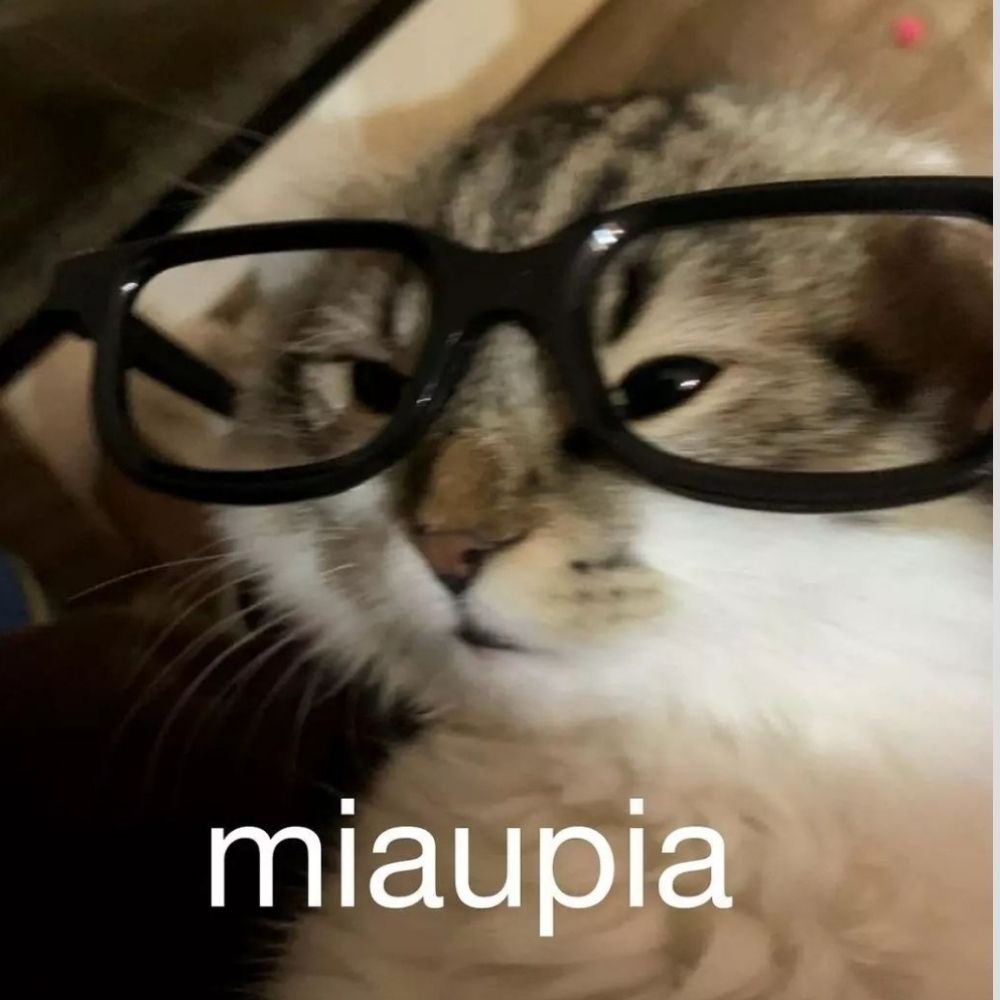 Viradanocaralho