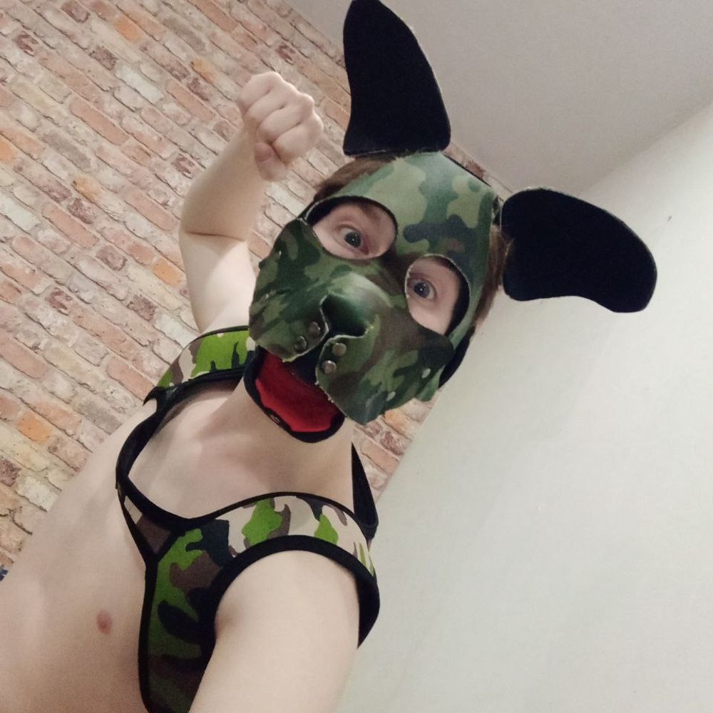  𝙿𝚄𝙿 𝚂𝚃𝙸𝙽  🐶