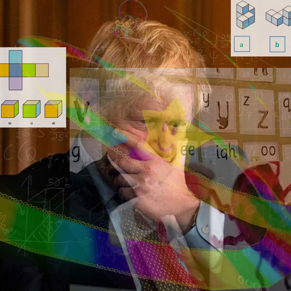 Synapsenfutter