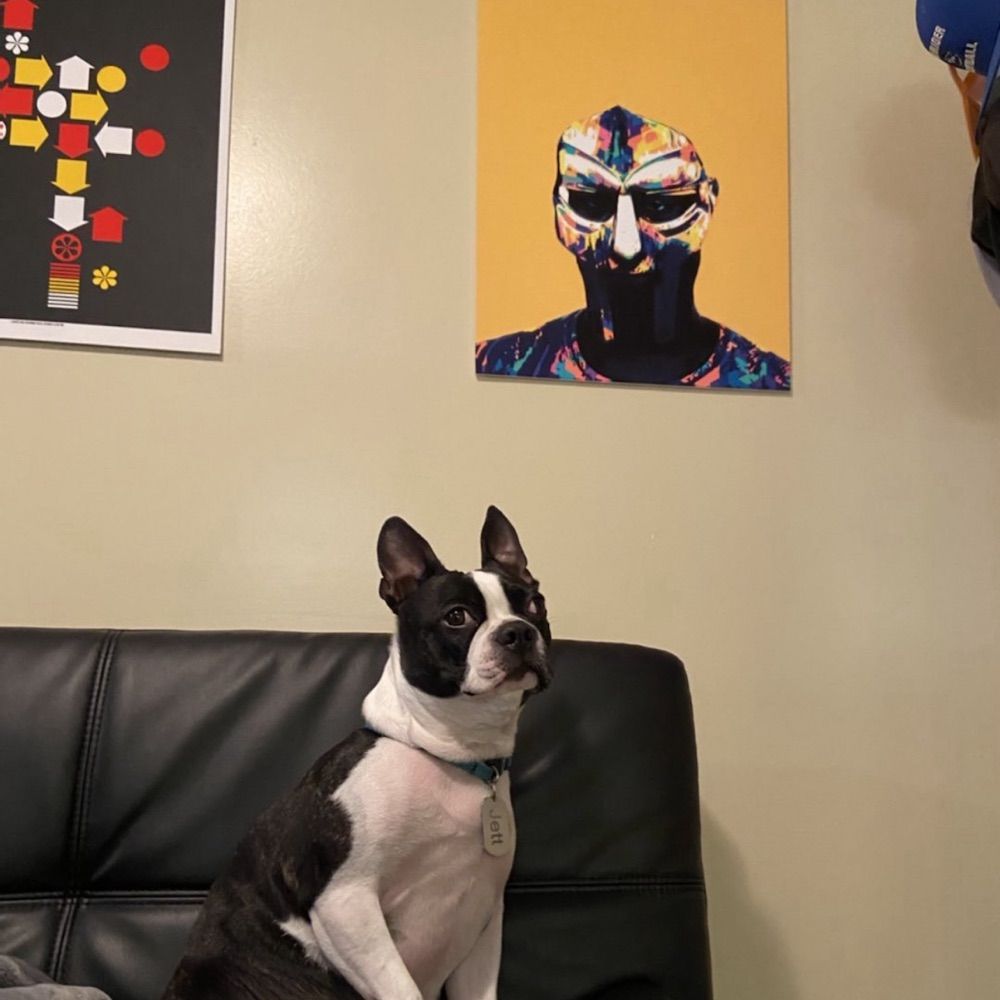 Travis Ice