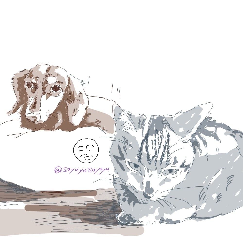 うさぎ