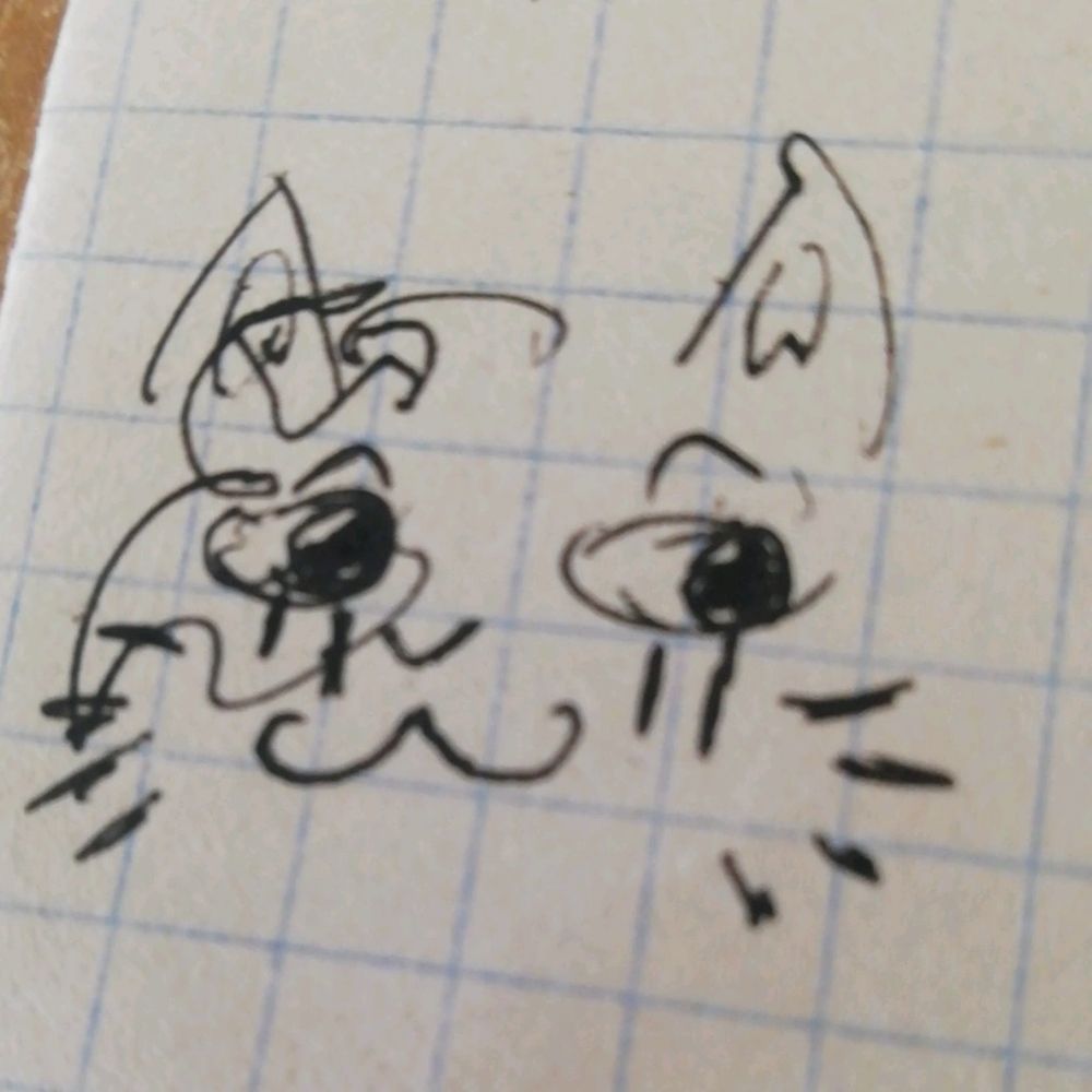 MaksTheCatFox