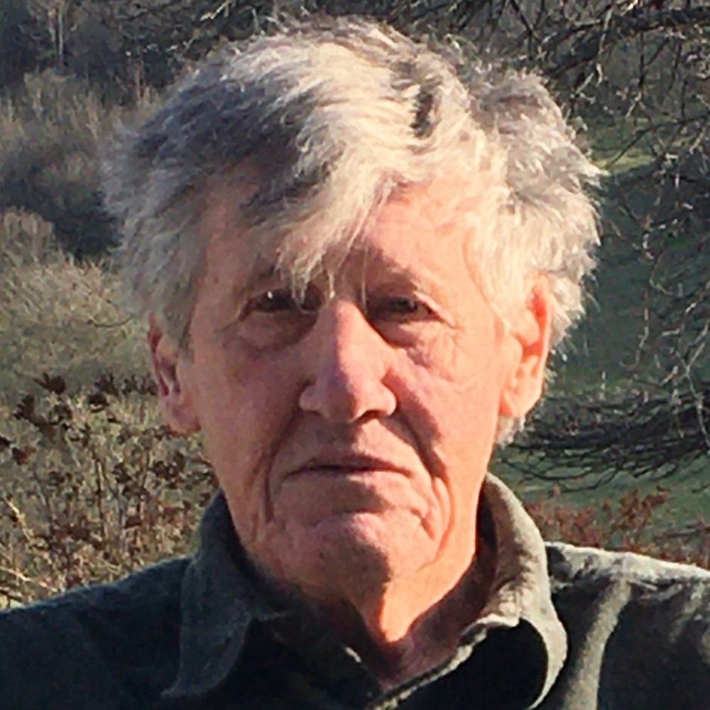 Tim Warner