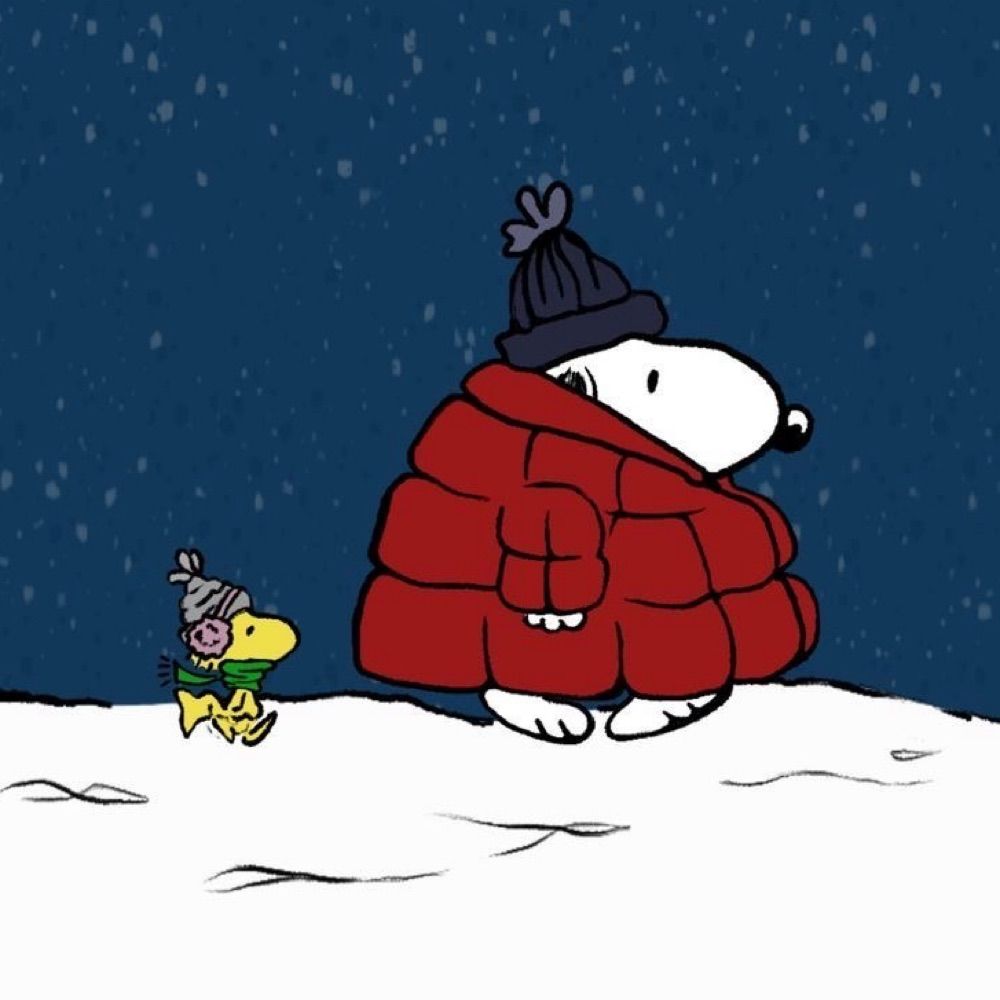bryannn ʚɞ³³³ ❄️