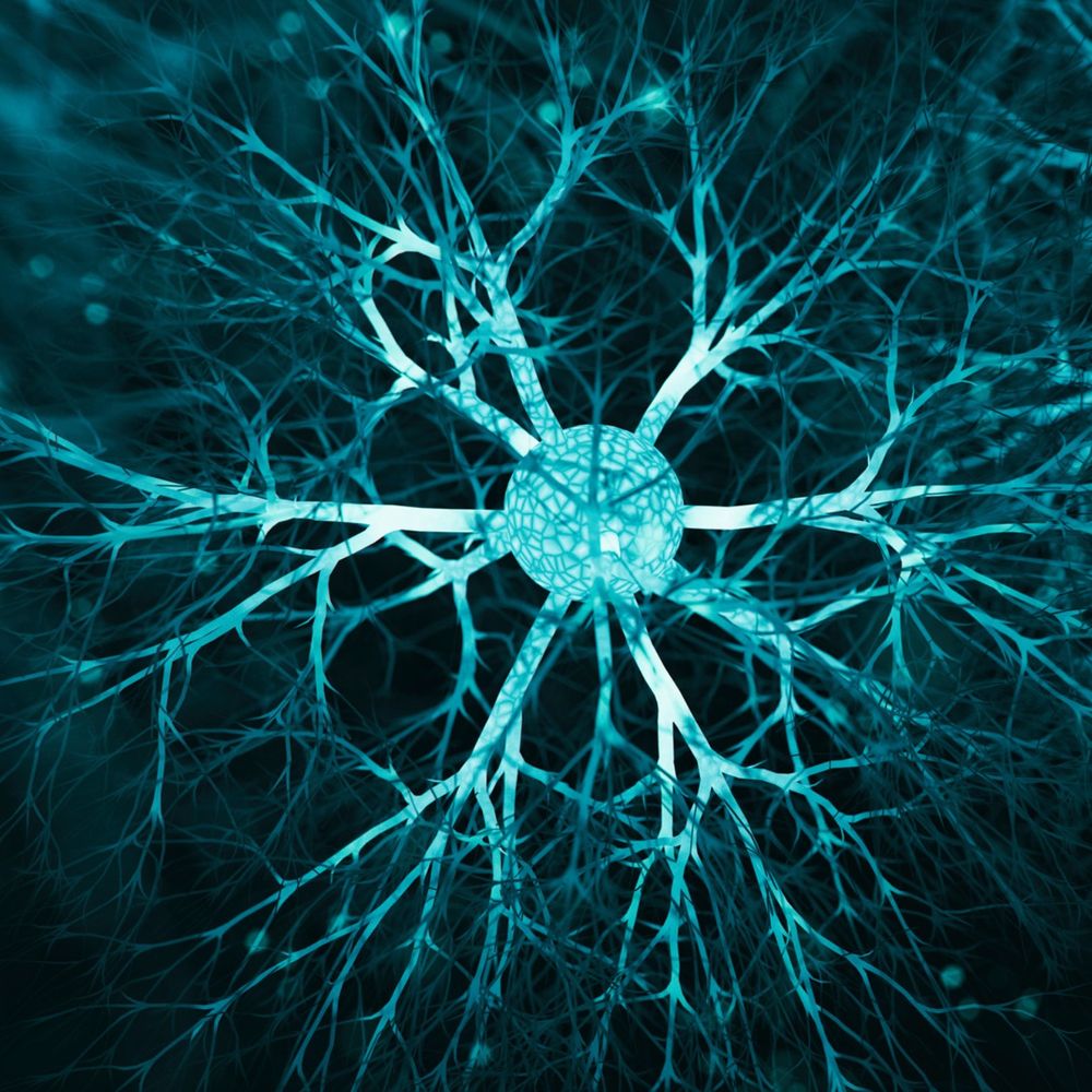 Neuroscience at Queen's University