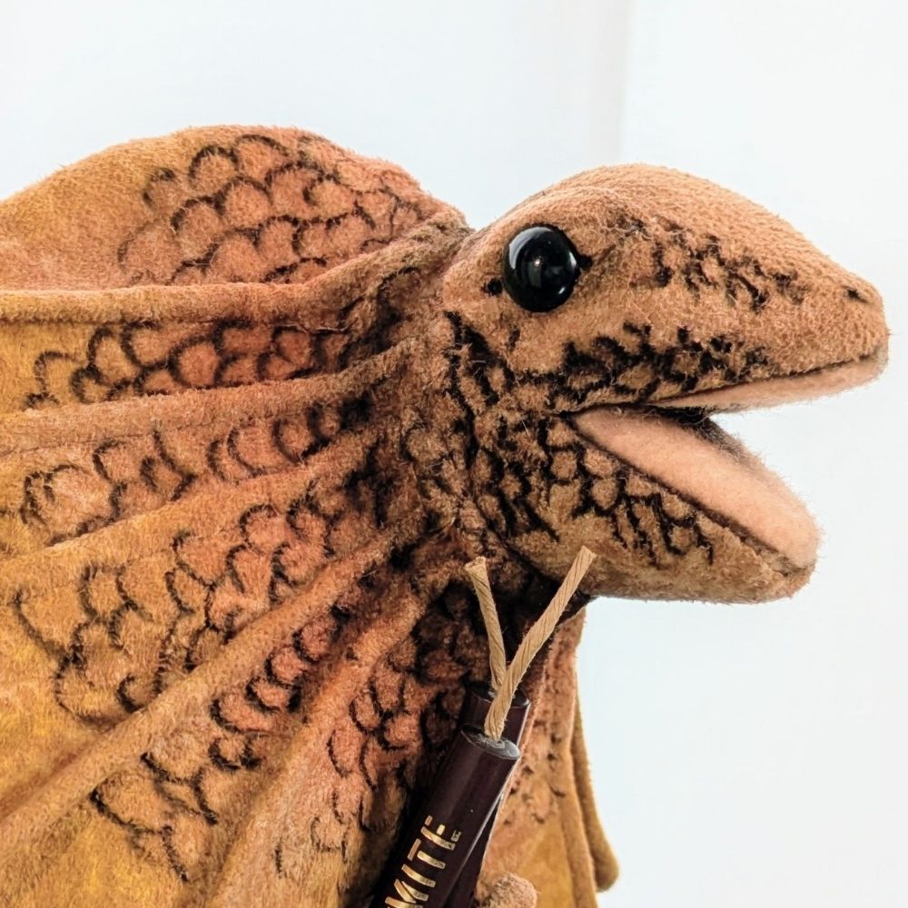 げんざめ