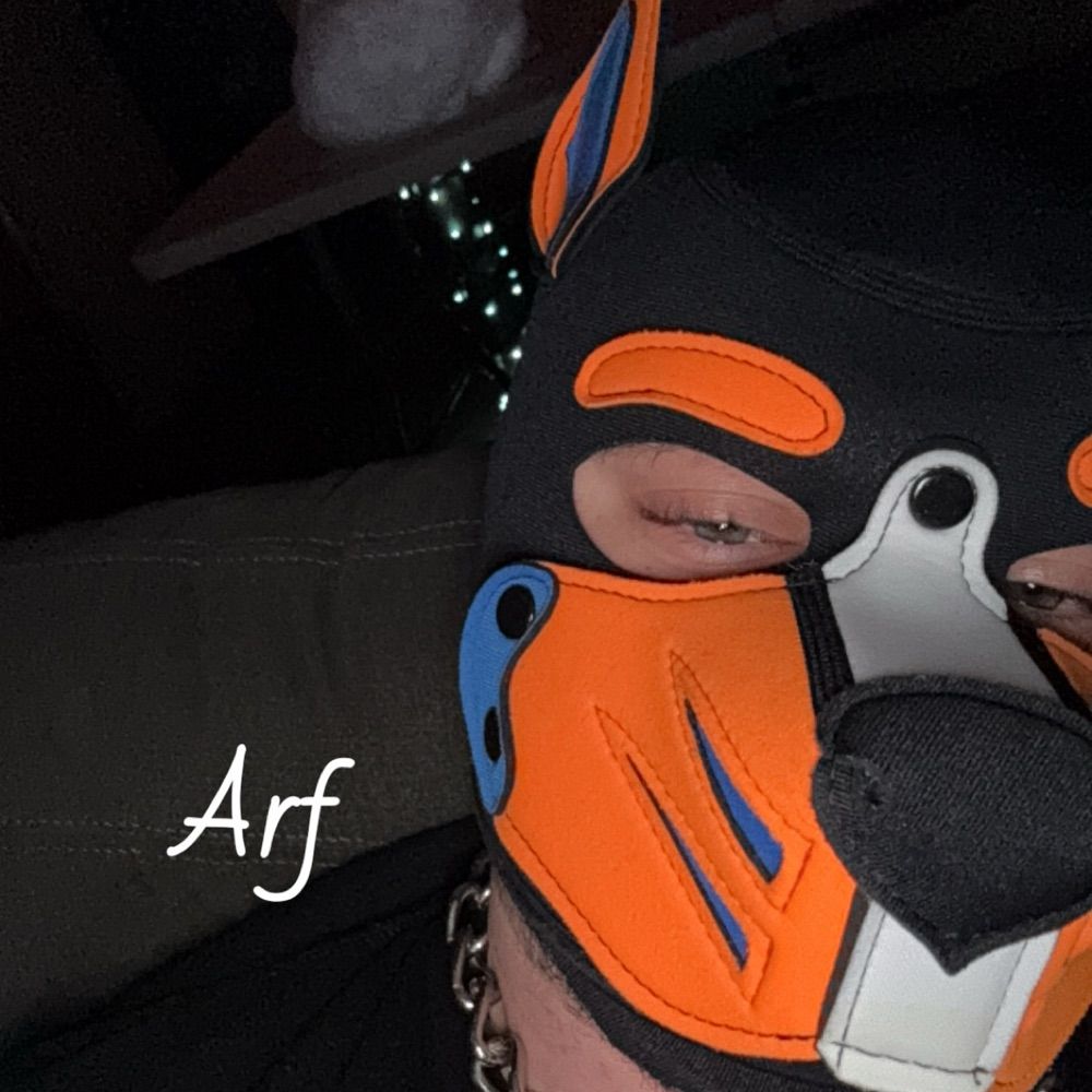 Pup Blaze