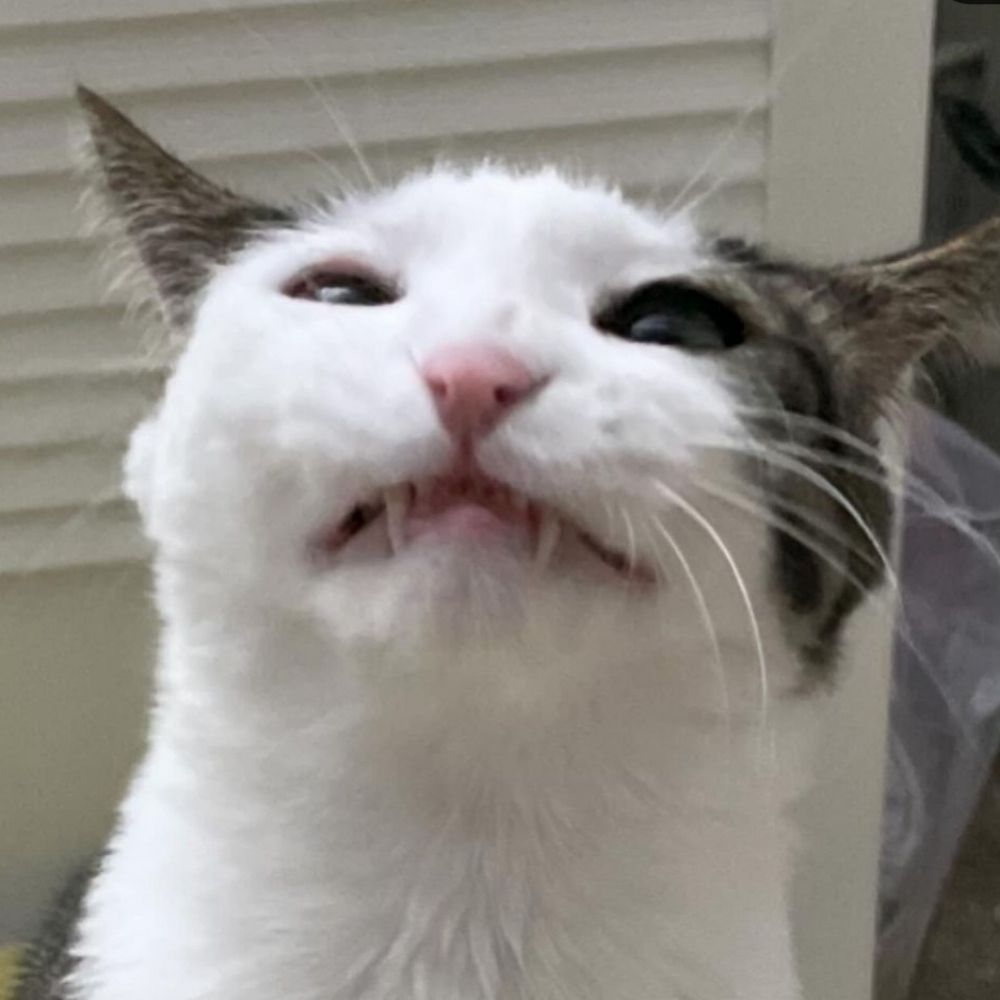 Gab