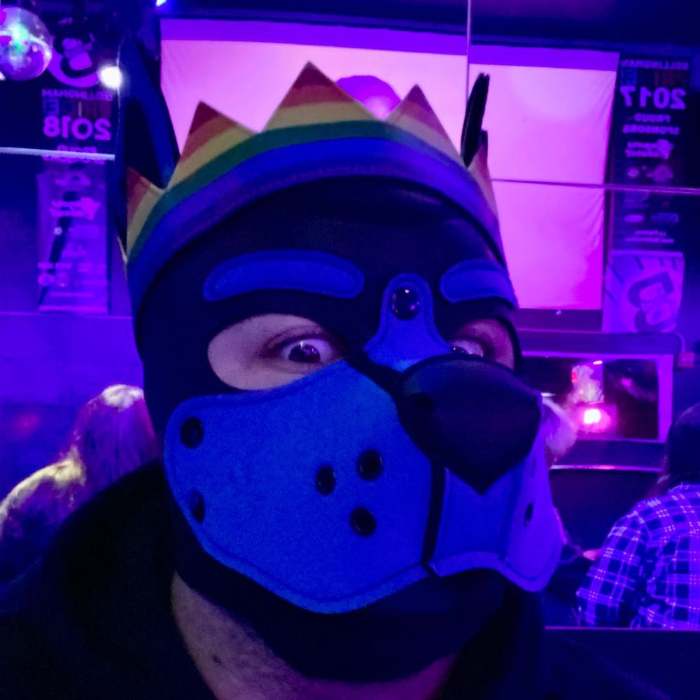 Pup Cyrus / Captain Ace