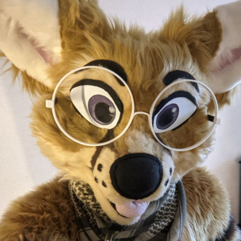 Niko Fox's avatar