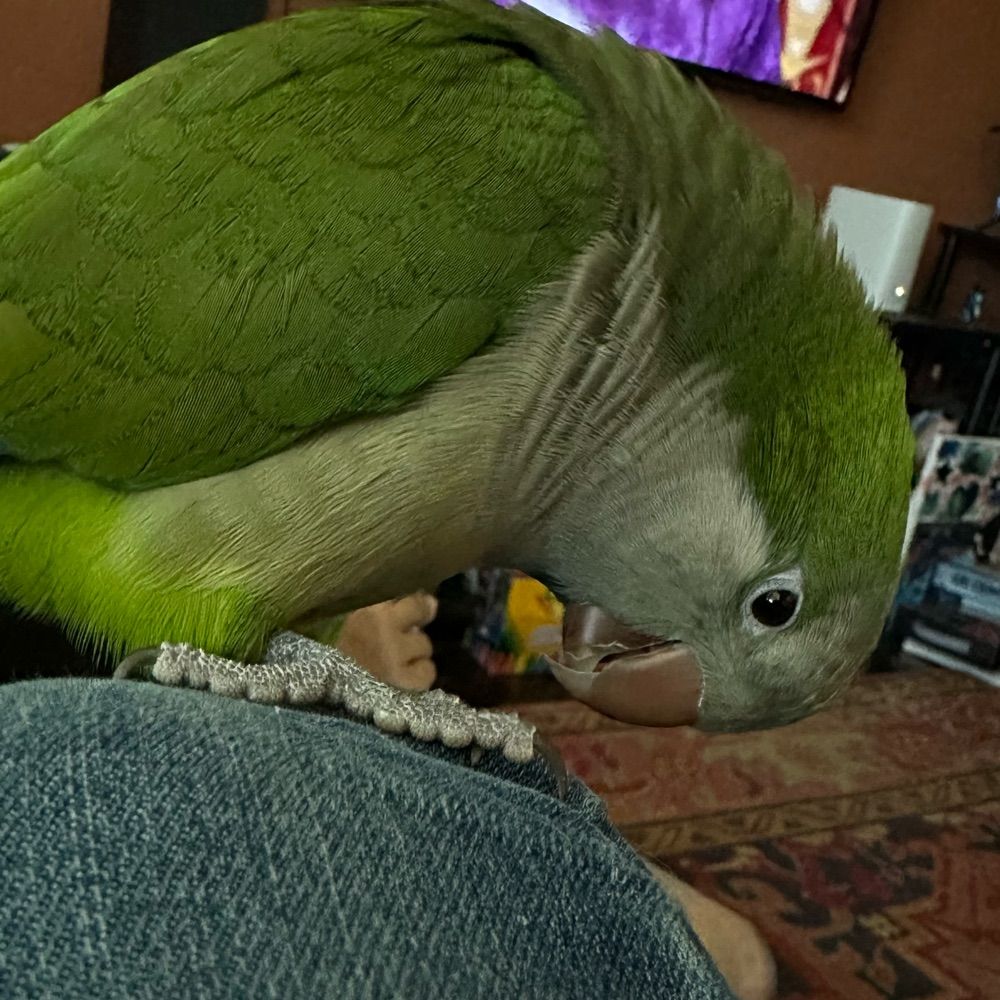 Azure!