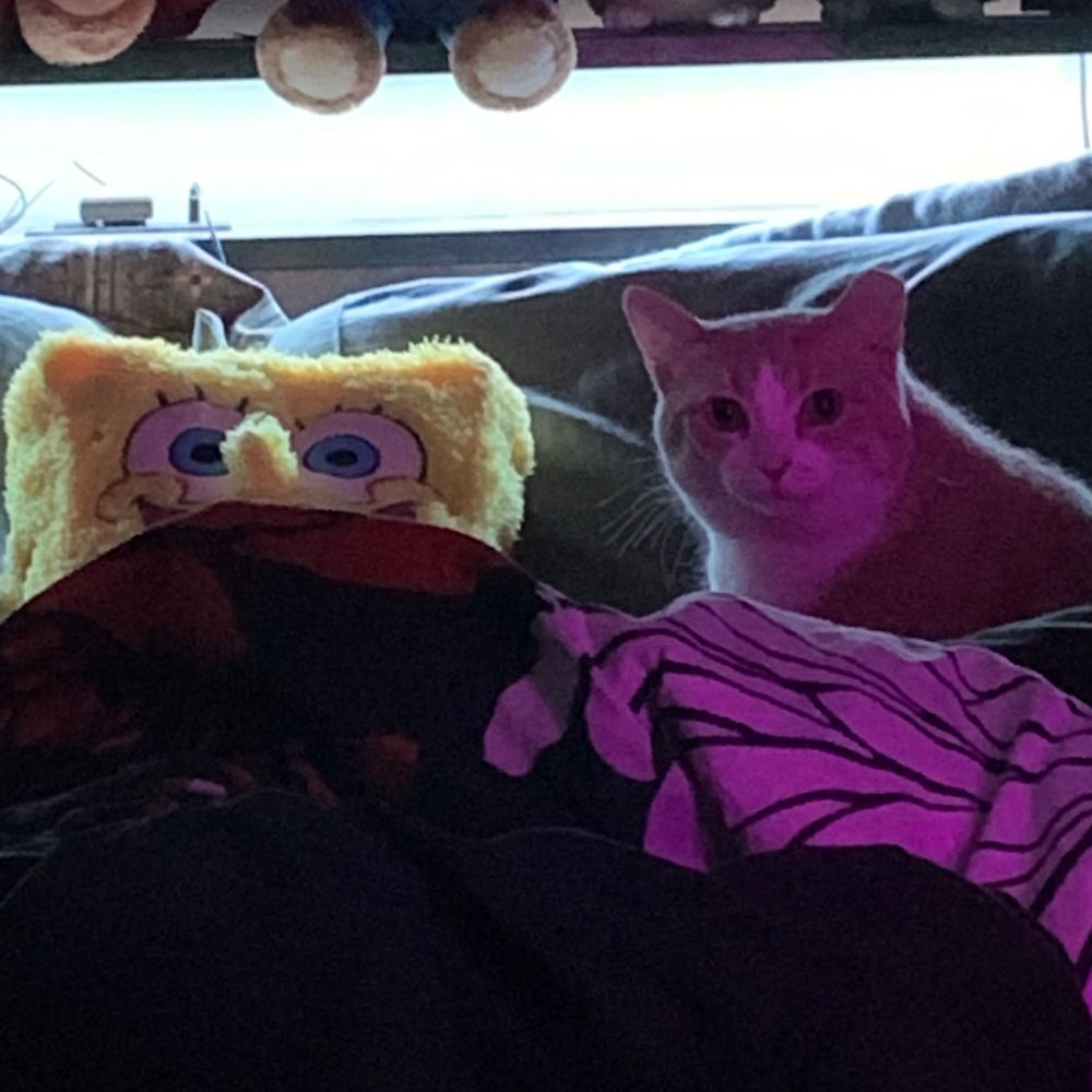 nintendobob wiipants