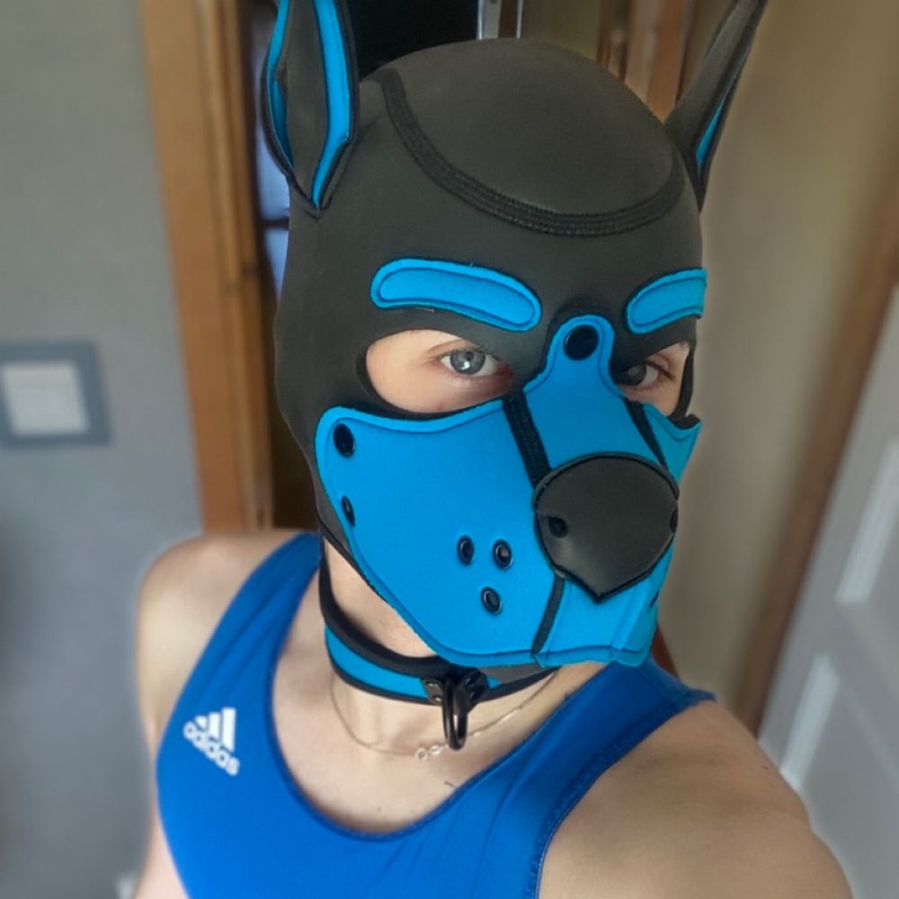 Pup Zack