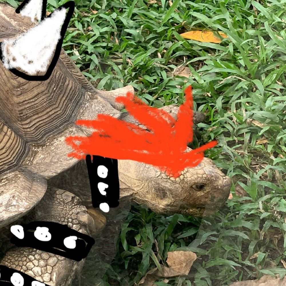 Manh the Chomk Drawer