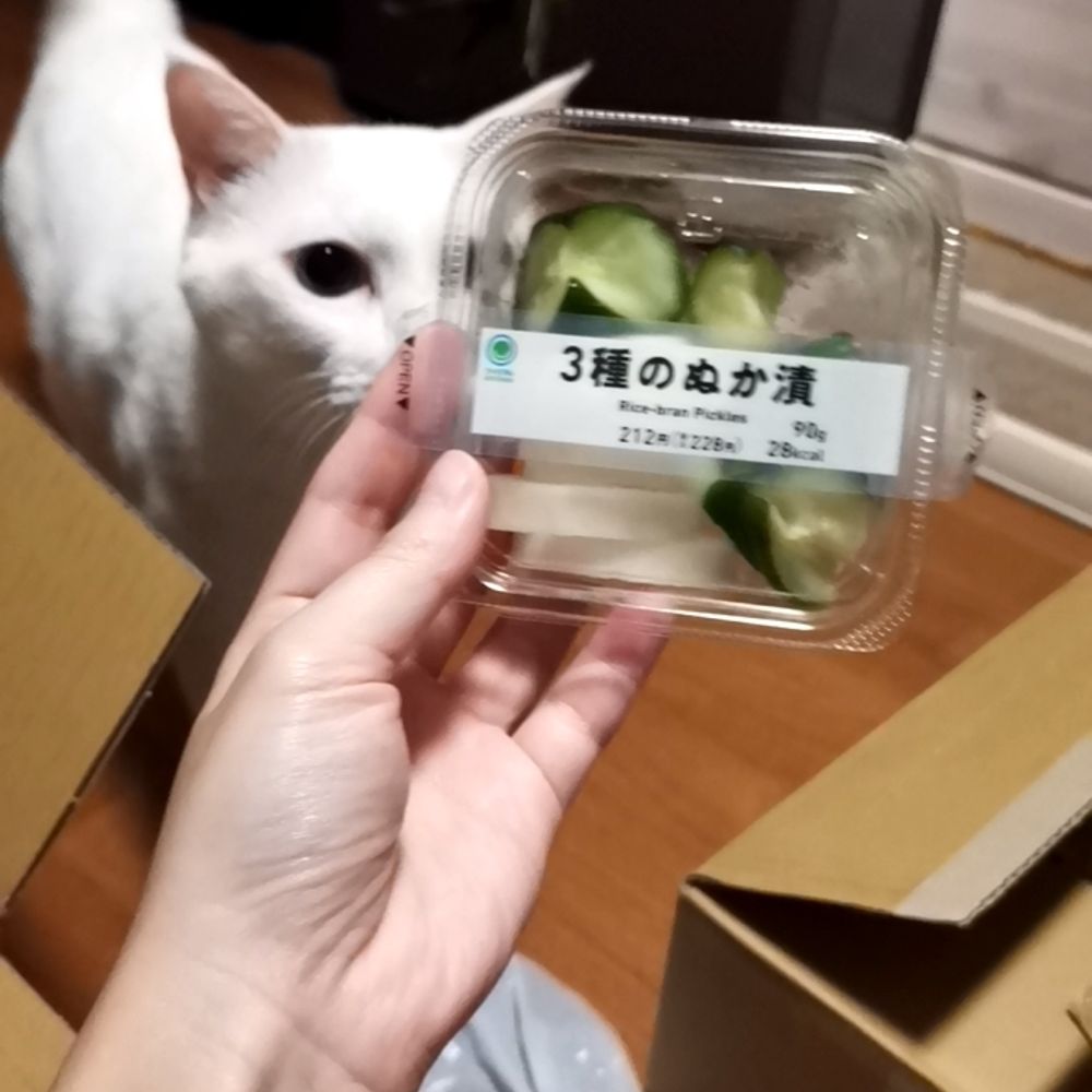 フジタ