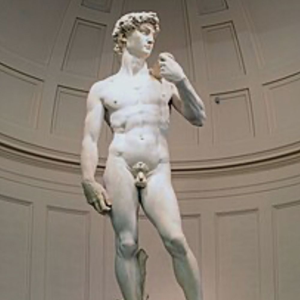 AspiringNudist
