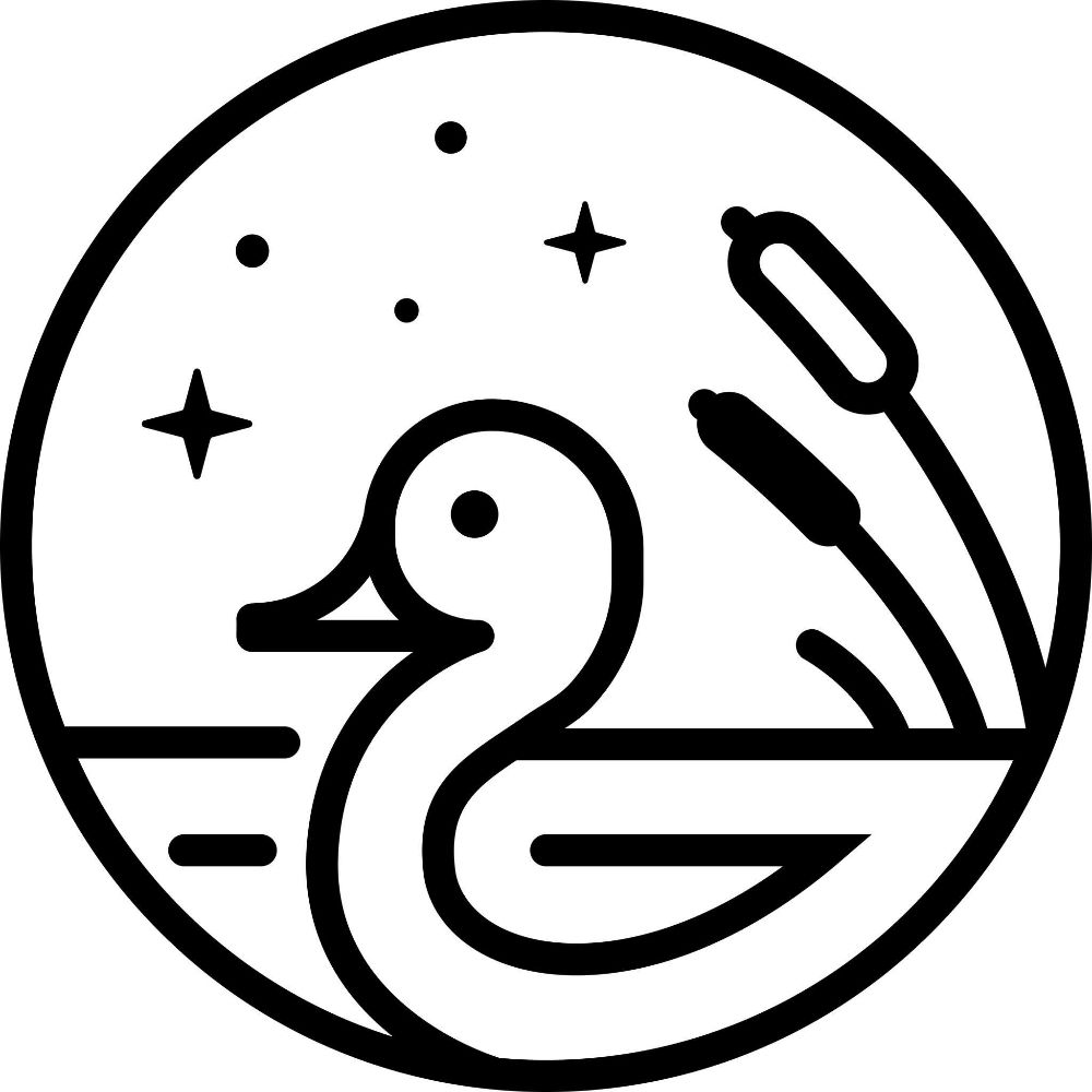 Minneapolis Mallard