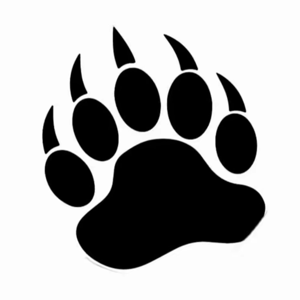 Bear Asia