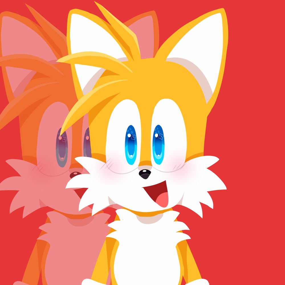 🛠️𝙏𝙖𝙞𝙡𝙨.𝙋🛠️