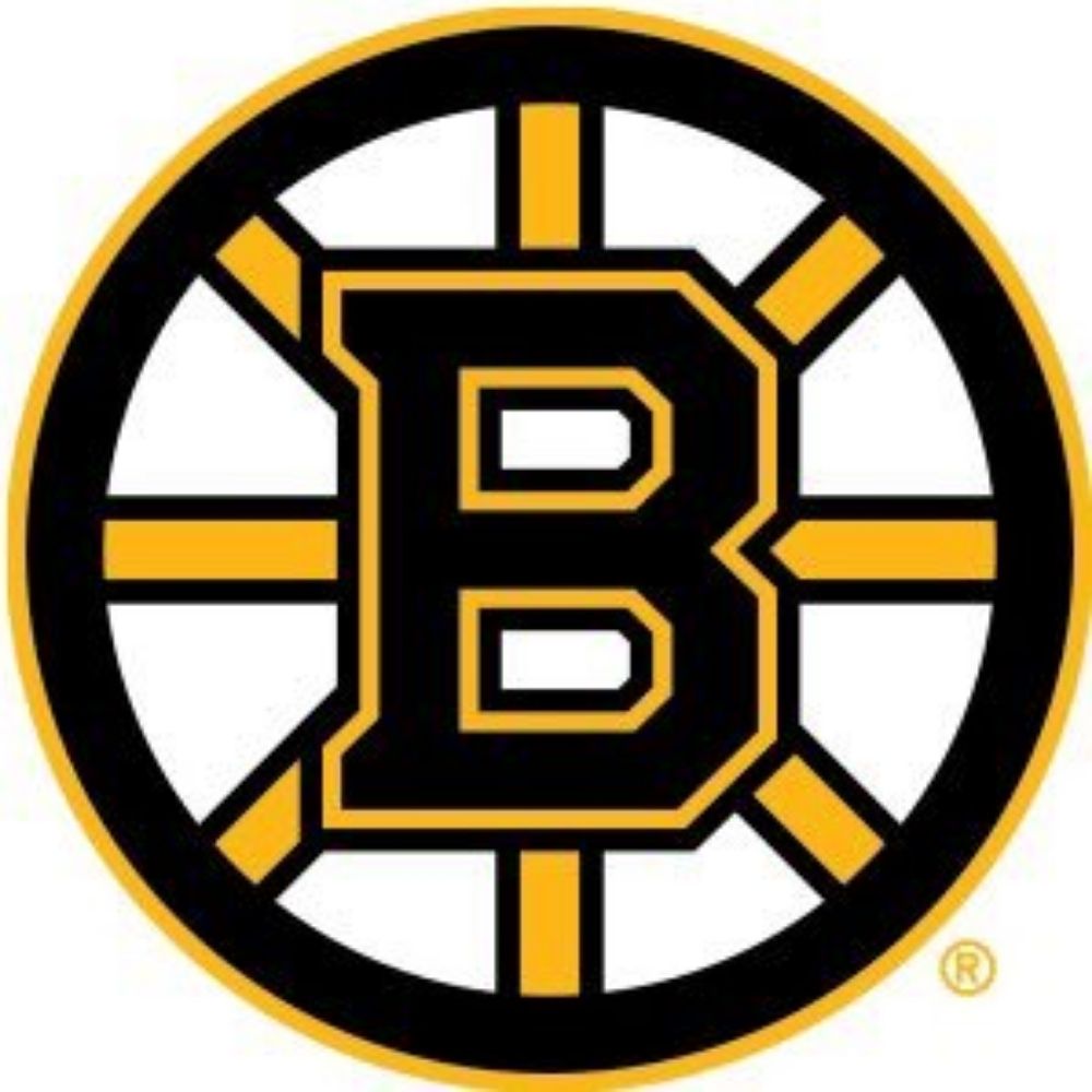 Boston Bruins twitter mirror