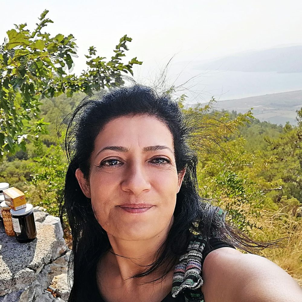 Neşe