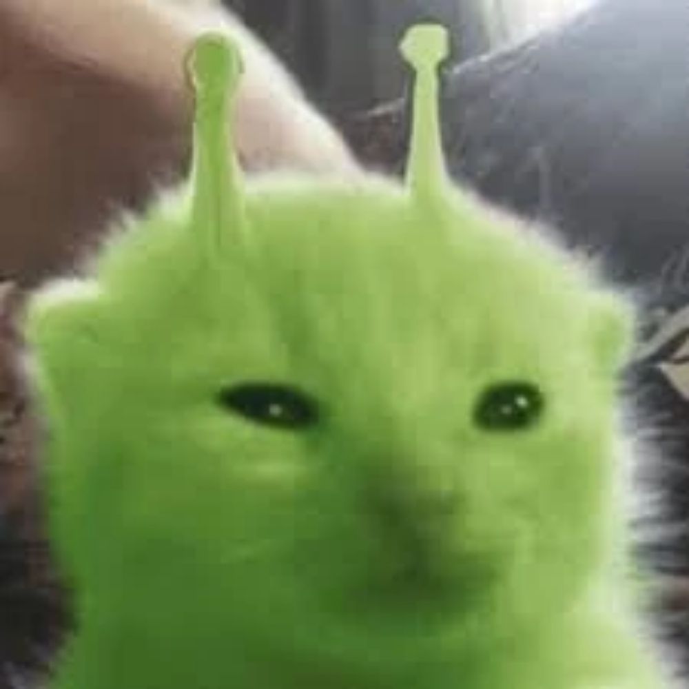 WontonWalruz AKA dat boi