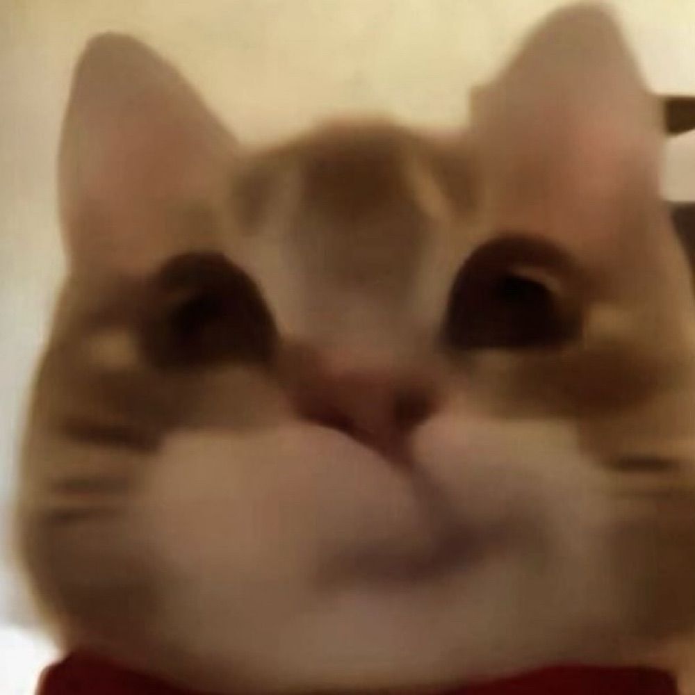 Pan