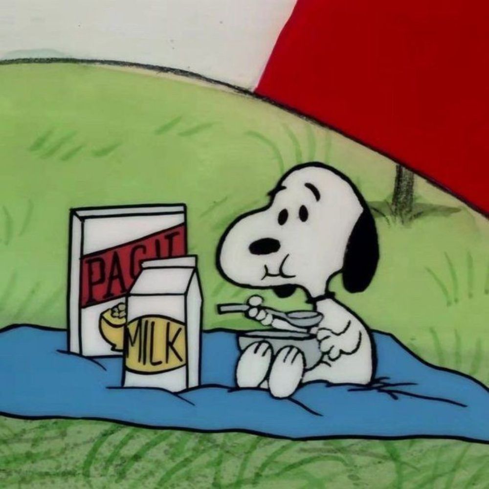 tyler-tom of Snoopy' ੯‧̀͡⬮