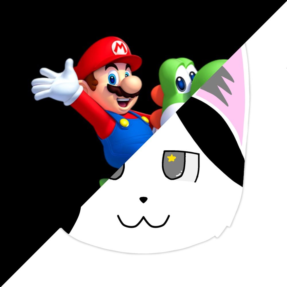 Mario Pro