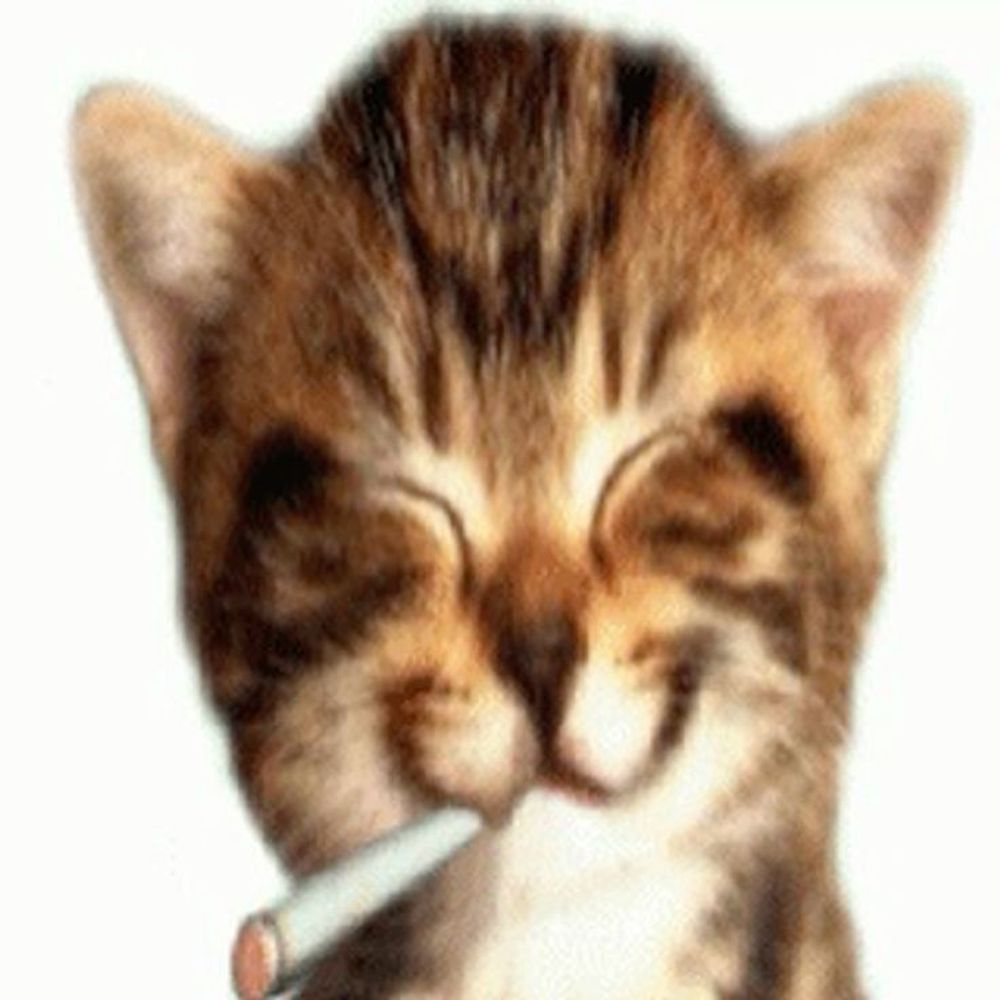 🤙