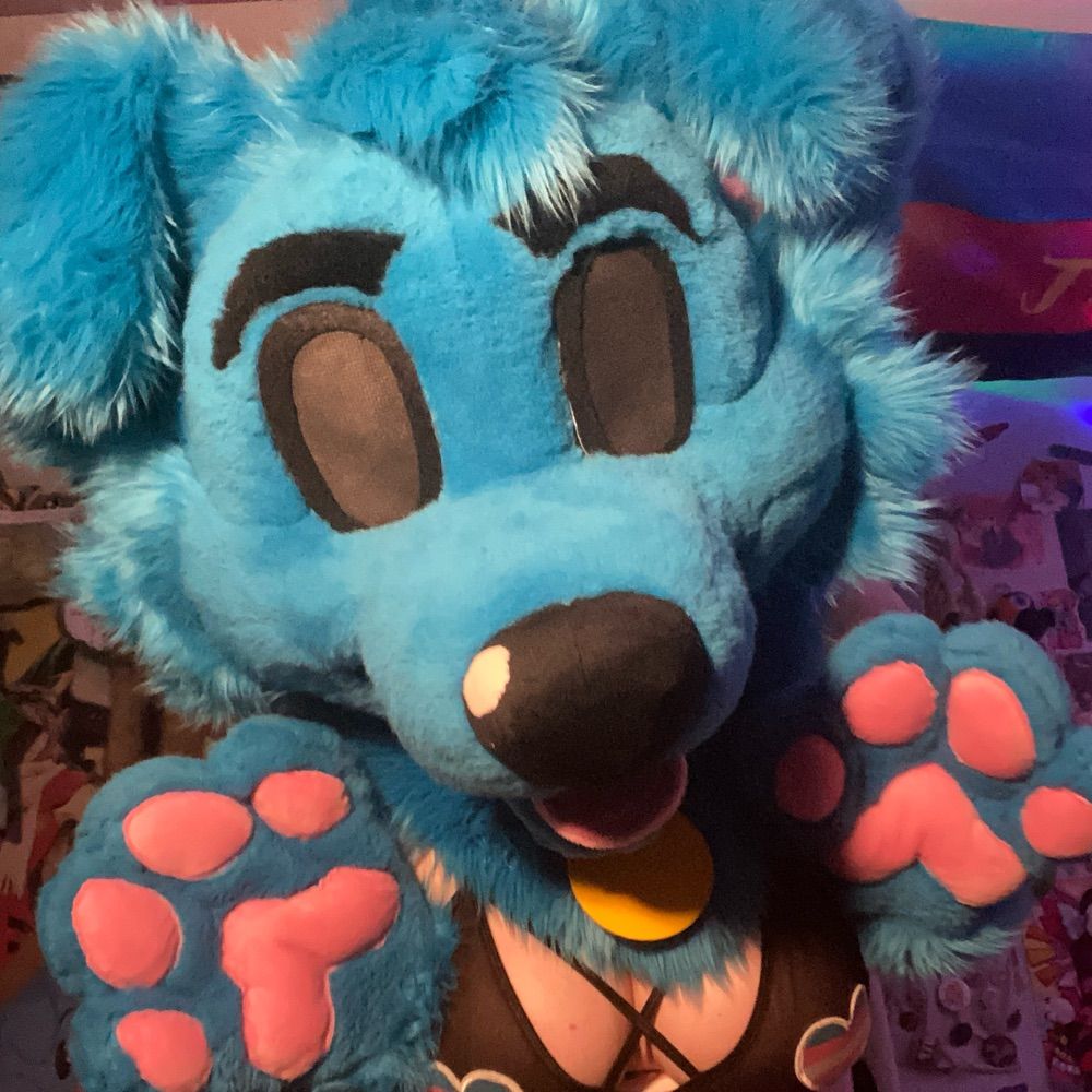 Freak Dog! 🔞 🔜 ???