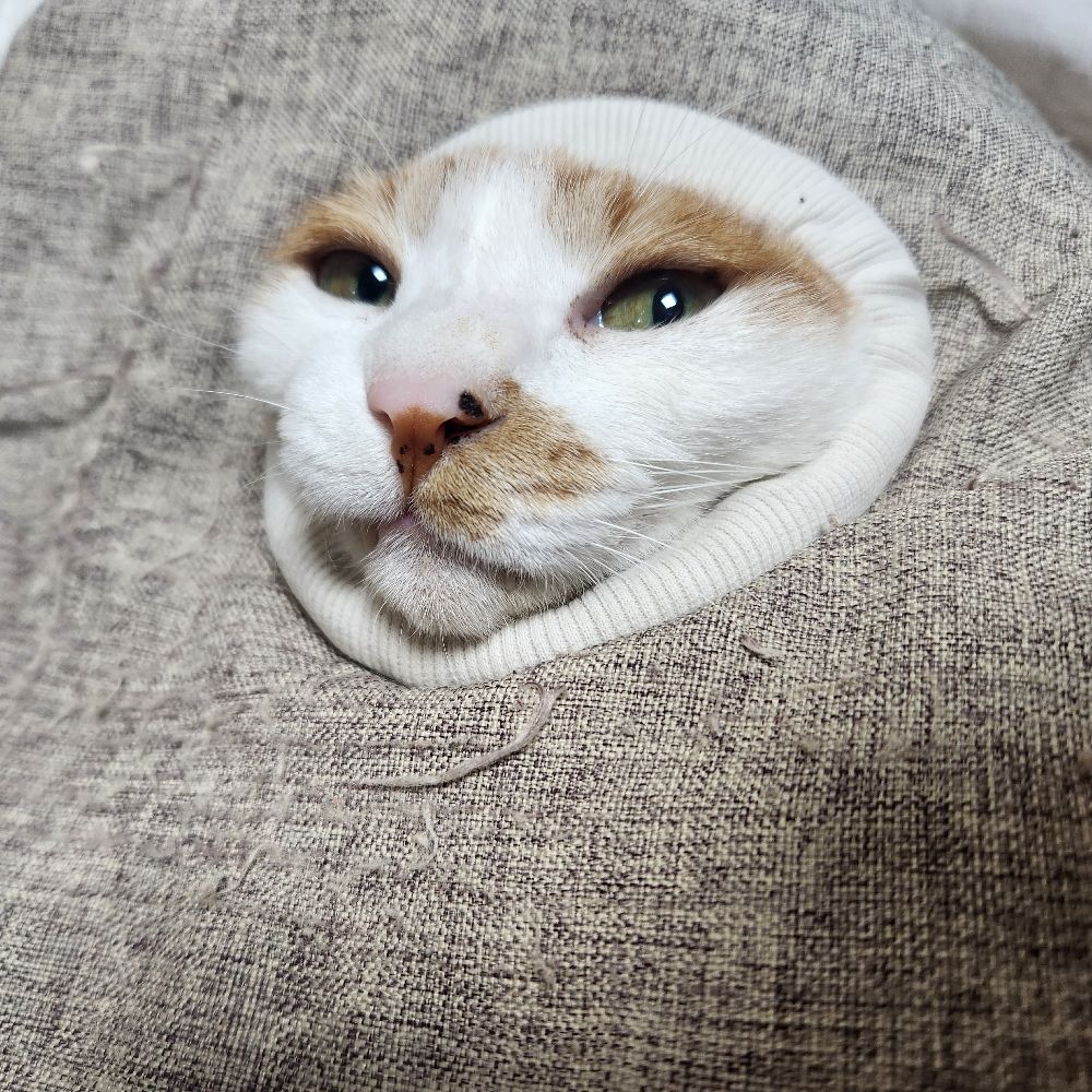뽀탄엄마