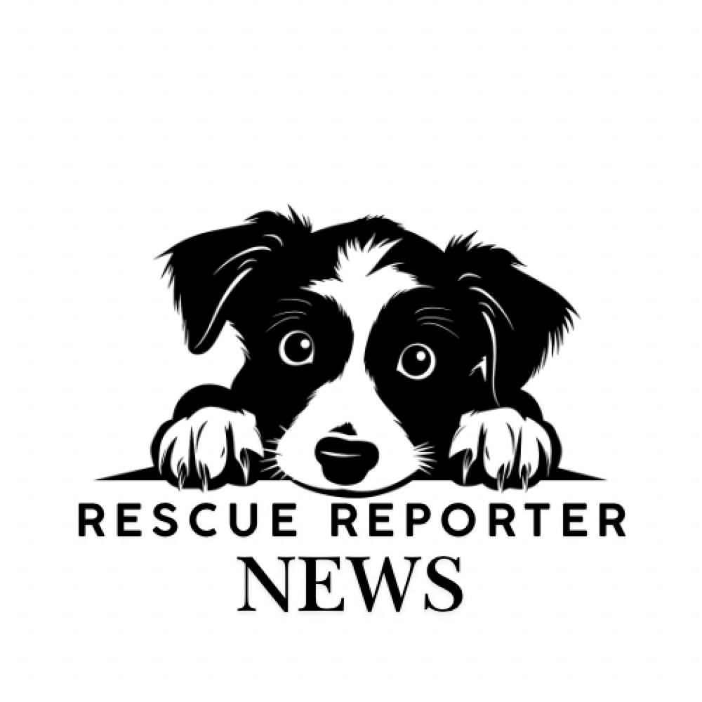RescueReporterNews