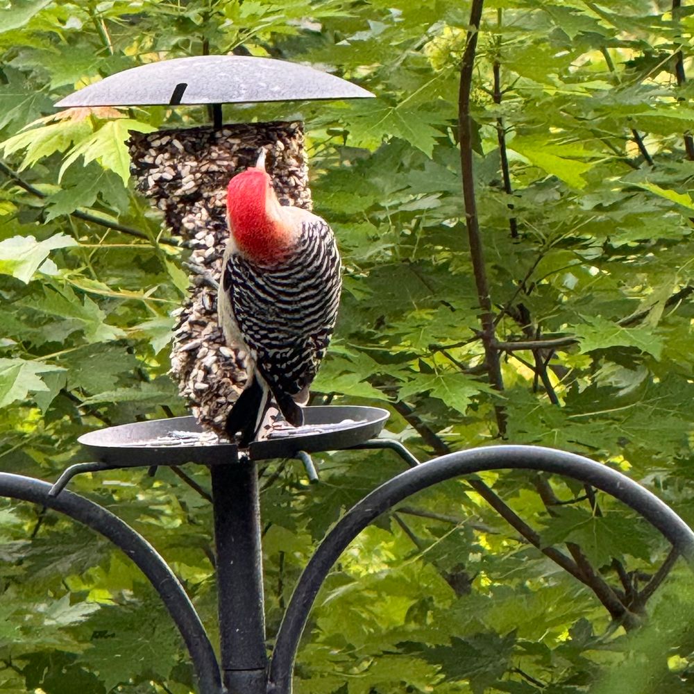 demetersgarden.bsky.social