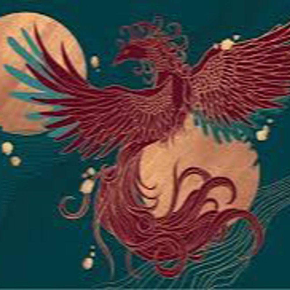 🐦‍🔥朱雀🐦‍🔥