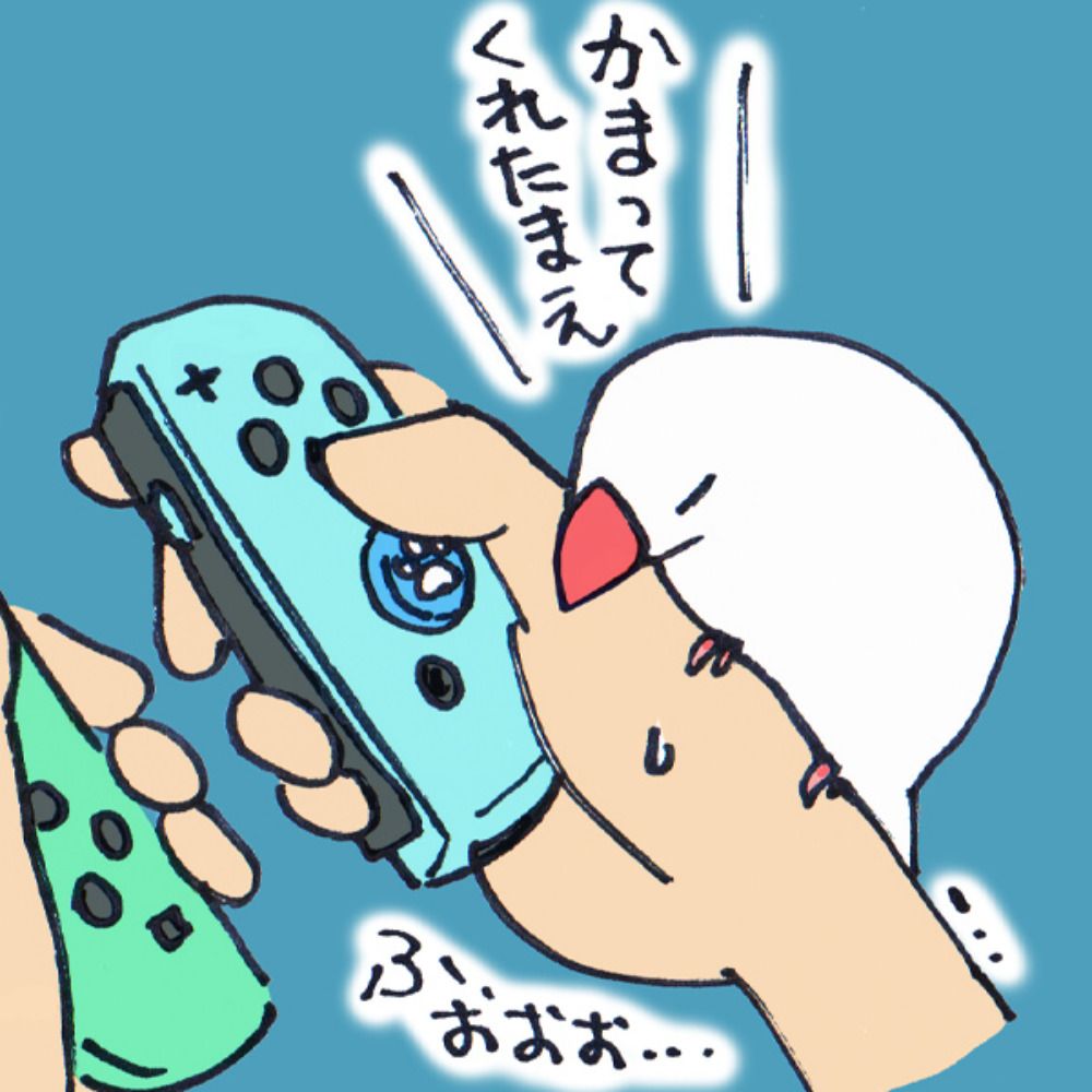 文鳥堂（あわゆき）
