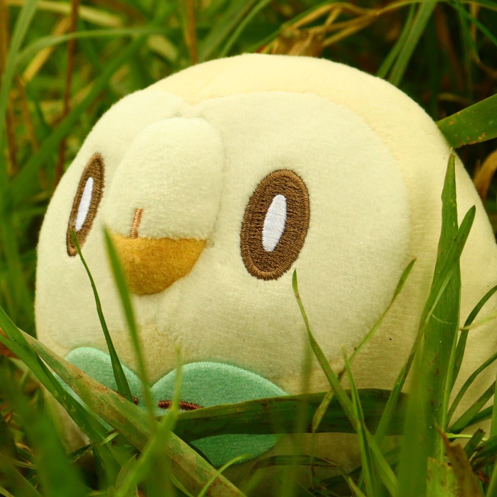 OwlBalconyBlog