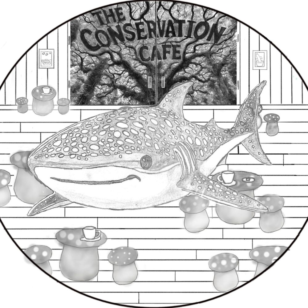 The Conservation Cafe