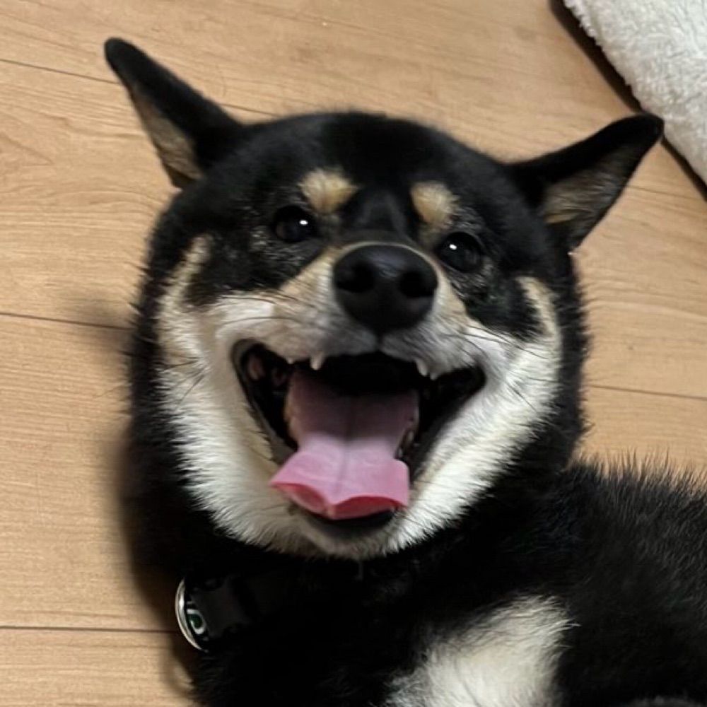 黒柴 なぎ
