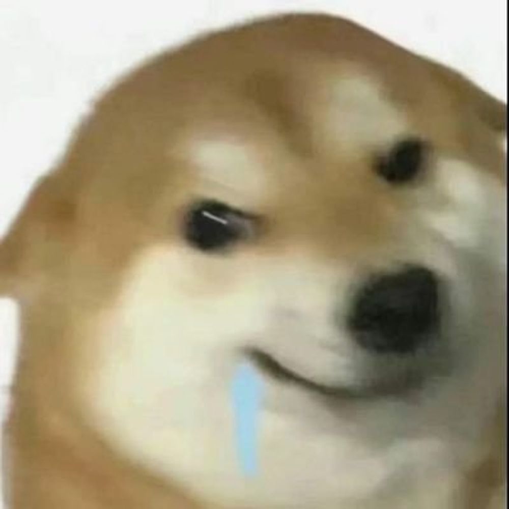 kkkk吃不饱