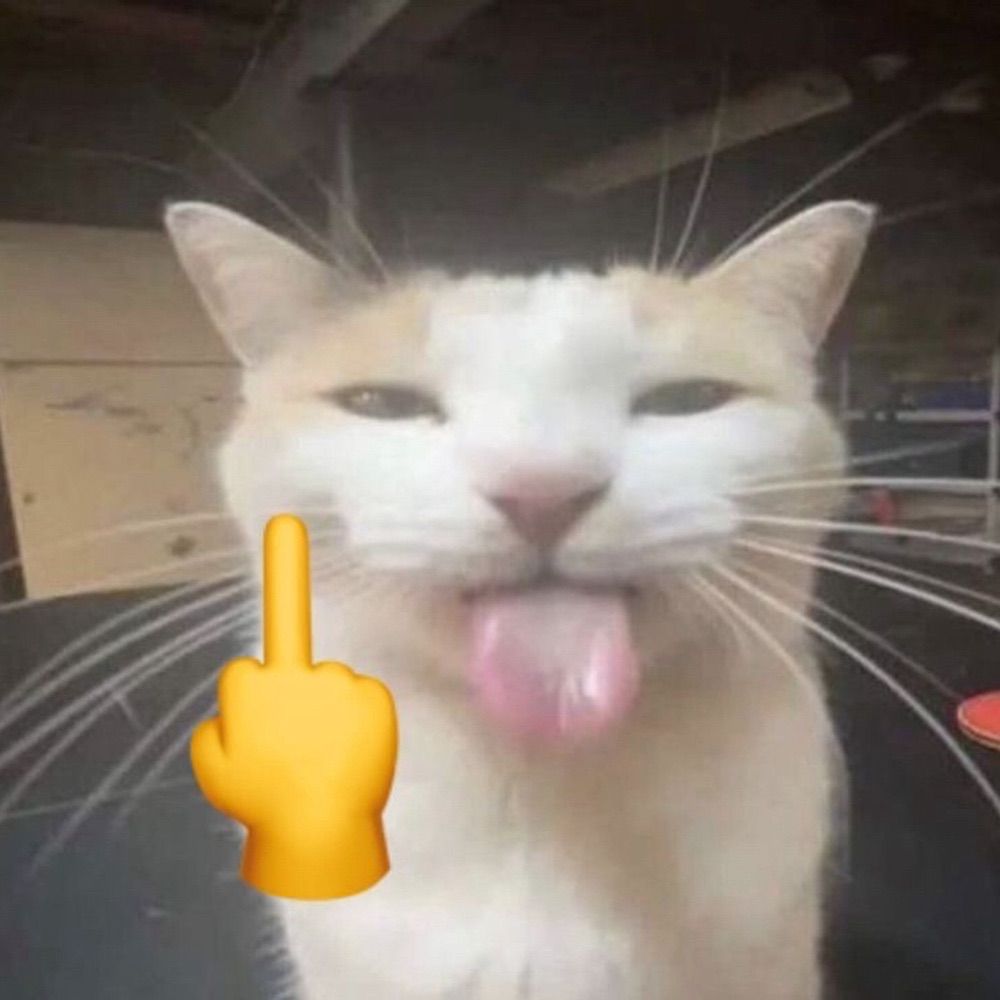 thatsmethemoon