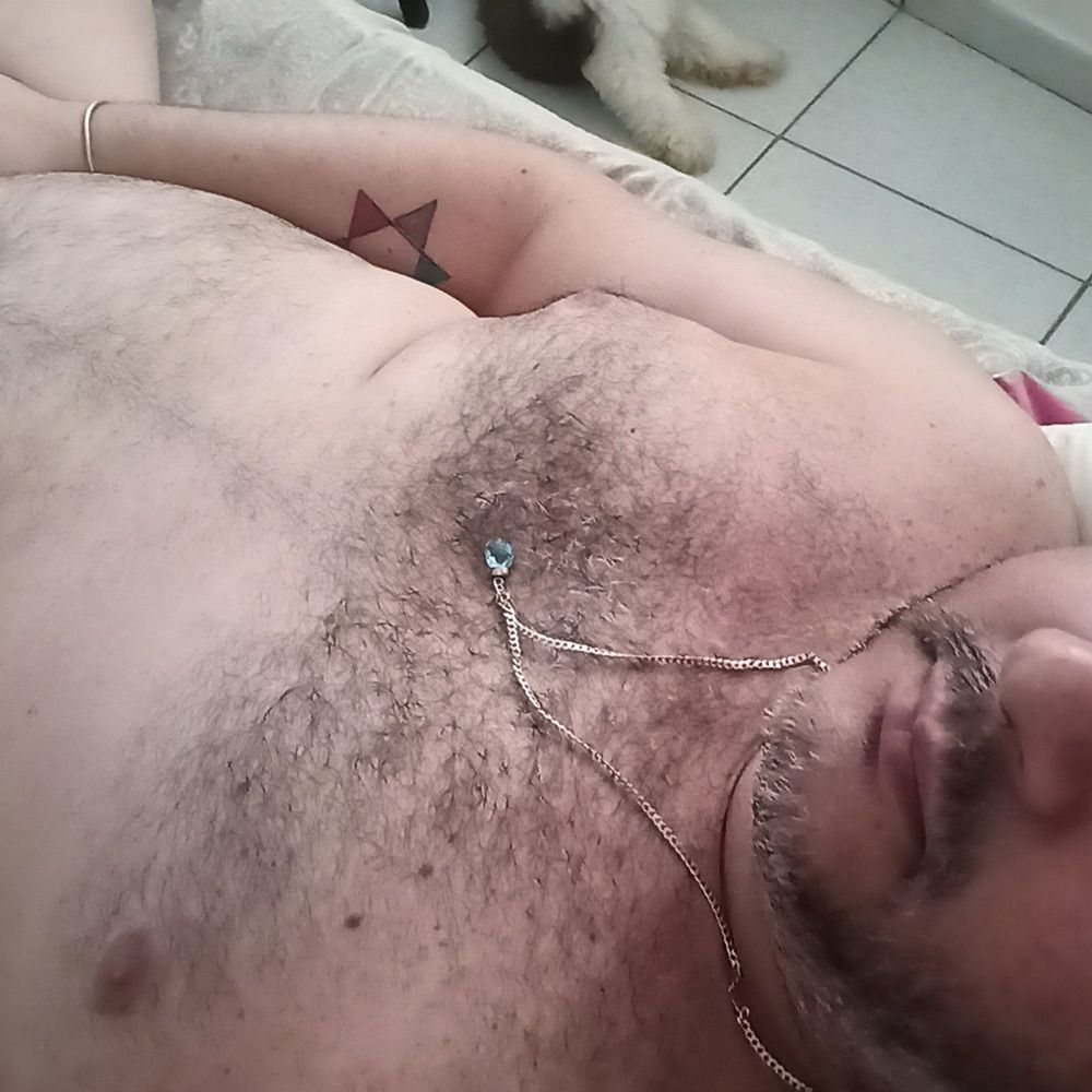Urso Recife 