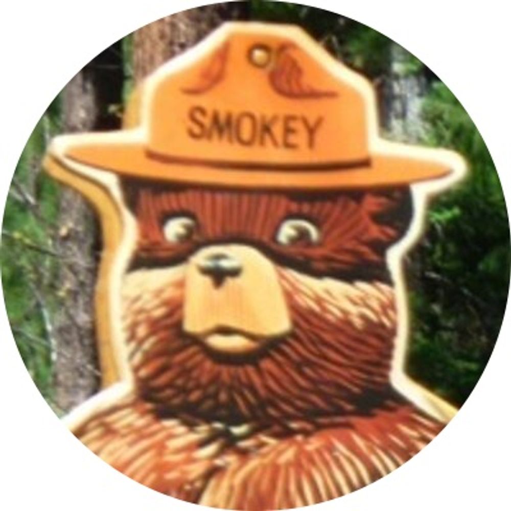 scout potato's avatar