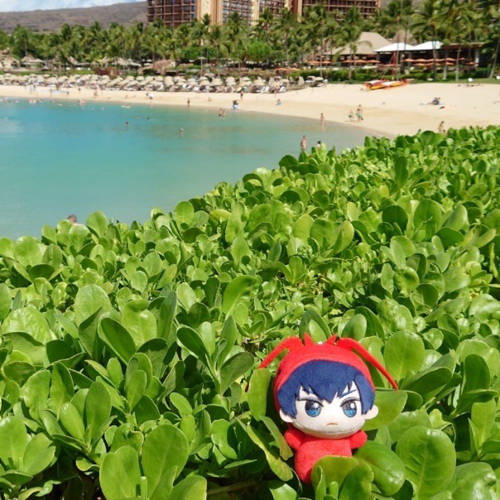 リリィ