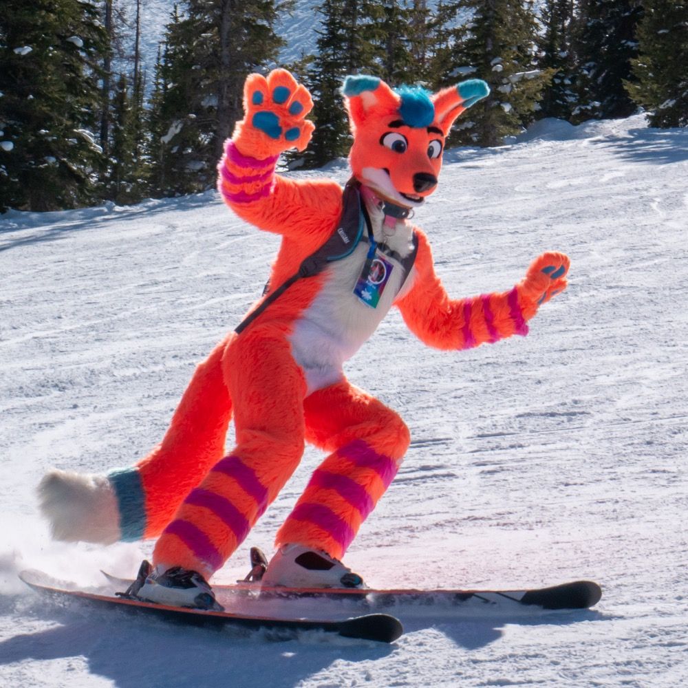 Avi Fox 🍊🦊