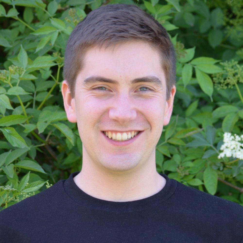 David Griwatz